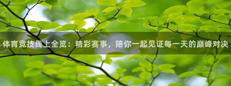 24足球直播网24直播吧：体育竞技线上全览：精彩赛事，陪你一起见证每一天的巅峰对决
