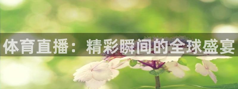 24直播免费篮球直播：体育直播：精彩瞬间的全球盛宴