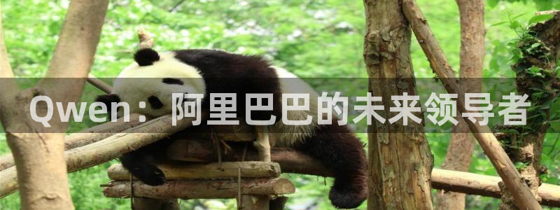 24直播网体育下载：Qwen：阿里巴巴的未来领导者