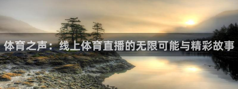24直播网体育在线直播女排联赛：体育之声：线上体育直播的无限可能与精彩故事
