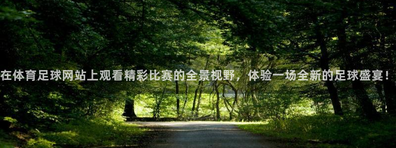 24直播吧nba在线直播免费：在体育足球网站上观看精彩比赛的全景视野，体验一场全新的足球盛宴！