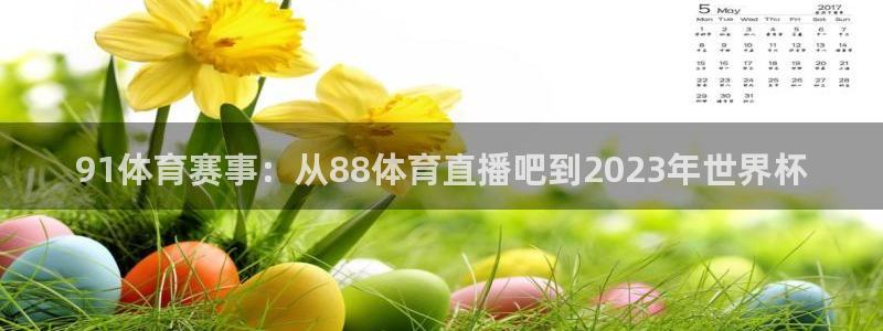足球直播24直播网：91体育赛事：从88体育直播吧到2023年世界杯