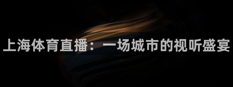 nba在线直播免费观看直播24直播网：上海体育直播：一场城市的视听盛宴