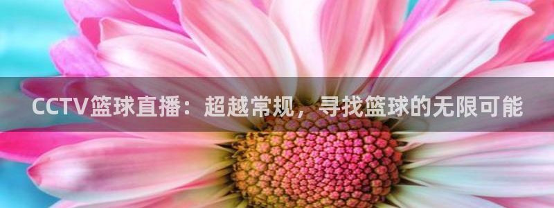 nba直播免费高清直播24直播网：CCTV篮球直播：超越常规，寻找篮球的无限可能