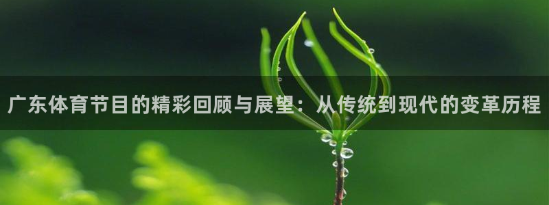 24直播足球免费观看入口：广东体育节目的精彩回顾与展望：从传统到现代的变革历程