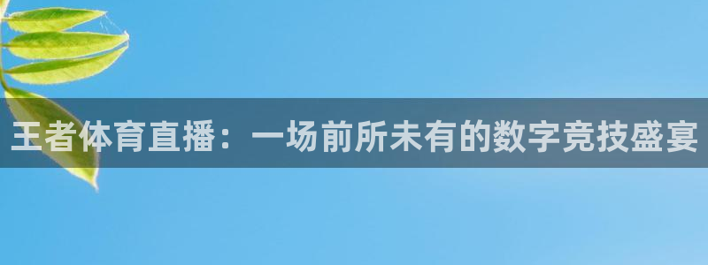 24直播网nba在线直播：王者体育直播：一场前所未有的数字竞技盛宴