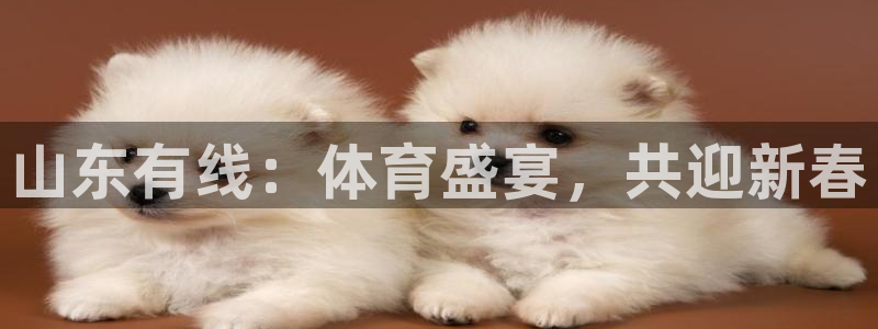 24直播网体育下载：山东有线：体育盛宴，共迎新春